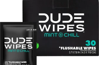 Dude Wipes – Mint Chill, Extra-Large, 30 Count
